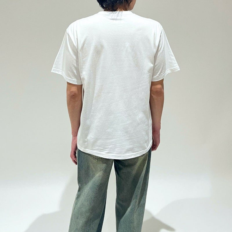 男性モデル：173cm